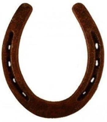 

Numeroastro Black Horse Shoe (Kale Ghode Ki Naal) Iron Yantra(Pack of 1)