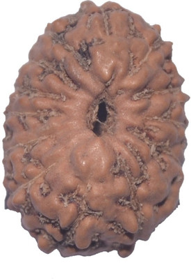 

Navkaar Creation 14 Mukhi Rudraksha Java 14.77mm Wooden Yantra
