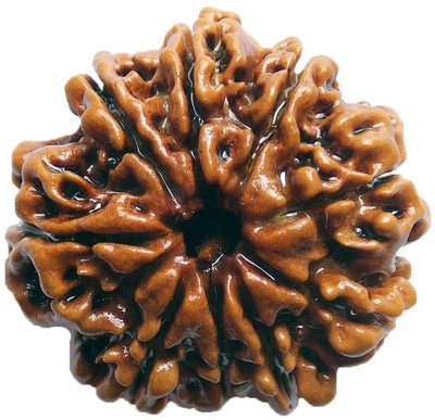 

ByCue Ceritfied 9 Mukhi Nepal Rudraksha 24.82mm Wooden Yantra(Pack of 1)