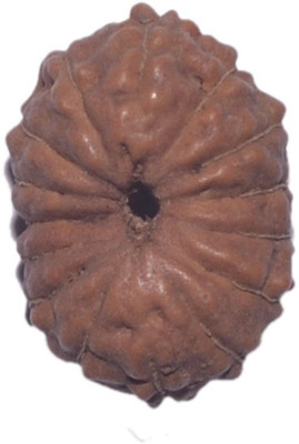 

Navkaar Creation 15 Mukhi Rudraksha Java 11.82mm Wooden Yantra