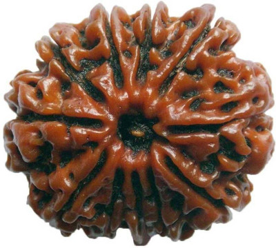 SHIVOHAM 11 MUKHI LAB CERTIFIED PREMIUM QUALITY NEPALI RUDRAKSHA Wooden Yantra