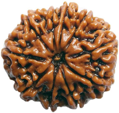 

ByCue Ceritfied 10 Mukhi Nepal Rudraksha 25.60mm Wooden Yantra(Pack of 1)