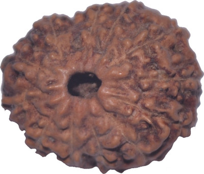 

Navkaar Creation 13 Mukhi Rudraksha Java 18.33mm Lab Certified Wooden Yantra