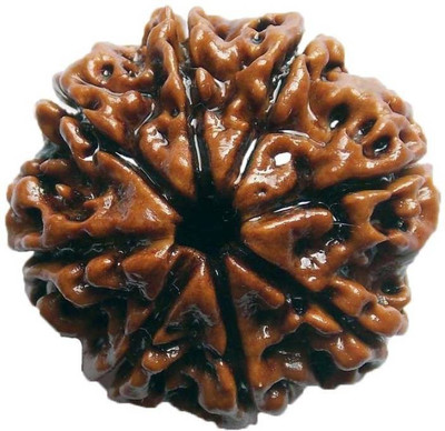 

SHIVOHAM 8 MUKHI RUDRAKSHA CERTIFIED Wooden Yantra