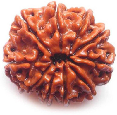 

SHIVOHAM 10 MUKHI PREMIUM QUALITY NEPALI RUDRAKSHA Wooden Yantra