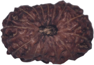 

Navkaar Creation 14 Mukhi Rudraksha Java 18.85mm Wooden Yantra