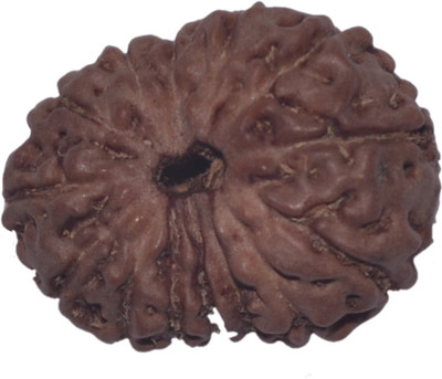 

Navkaar Creation 13 Mukhi Rudraksha Java 16.30mm Lab Certified Wooden Yantra