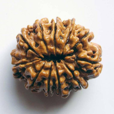 SHIVOHAM 11 MUKHI NEPALI RUDRAKSHA CERTIFIED Wooden Yantra