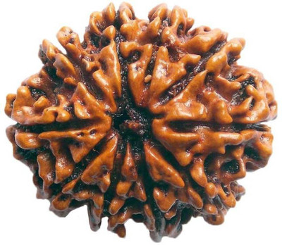 SHIVOHAM 10 MUKHI RUDRAKSHA LAB CERTIFIED Wooden Yantra
