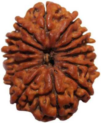 SHIVOHAM 13 MUKHI LAB CERTIFIED PREMIUM QUALITY NEPALI RUDRAKSHA Wooden Yantra