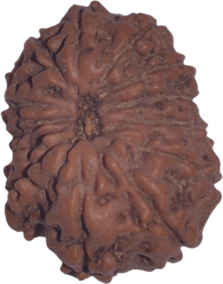 

Navkaar Creation 13 Mukhi Rudraksha Java 18.68mm Lab Certified Wooden Yantra