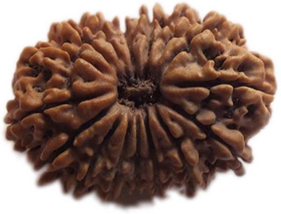 

ByCue Certified 14 Mukhi Rudraksha Nepal Best Quality Wooden Yantra(Pack of 1)