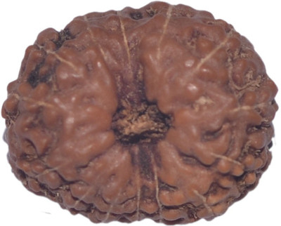 

Navkaar Creation 14 Mukhi Rudraksha Java 18.15mm Wooden Yantra