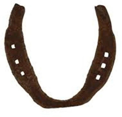 

Manoramaenterprises Black Horse Shoe (Kale Ghode Ki Naal) Iron Yantra(Pack of 1)
