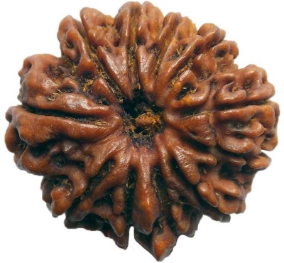 

ByCue Ceritfied 11 Mukhi Nepal Rudraksha 28.06mm Wooden Yantra(Pack of 1)