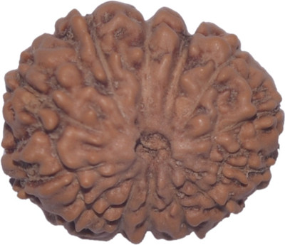 

Navkaar Creation 13 Mukhi Rudraksha Java 13.99mm Lab Certified Wooden Yantra