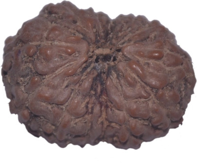 

Navkaar Creation 13 Mukhi Rudraksha Java 17.32mm Lab Certified Wooden Yantra