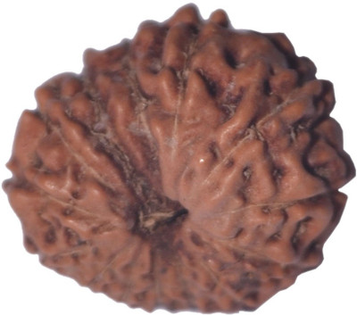 

Navkaar Creation 14 Mukhi Rudraksha Java 16.05mm Wooden Yantra