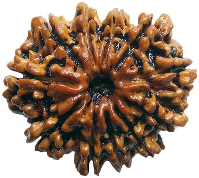 

ByCue Ceritfied 11 Mukhi Nepal Rudraksha 27.90mm Wooden Yantra(Pack of 1)
