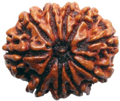 SHIVOHAM 10 MUKHI LAB CERTIFIED PREMIUM QUALITY NEPALI RUDRAKSHA Wooden Yantra