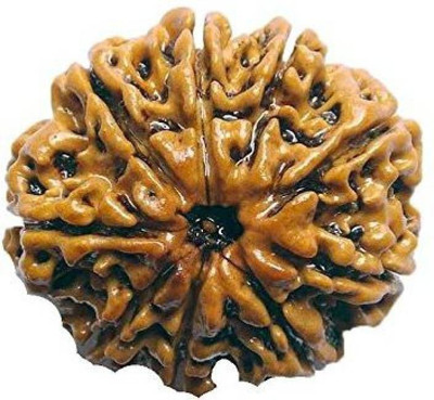 SHIVOHAM 9 MUKHI NEPALI RUDRAKSHA LAB CERTIFIED Wooden Yantra