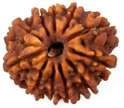 

ByCue Certified 11 Mukhi Rudraksh Wooden Yantra(Pack of 1)