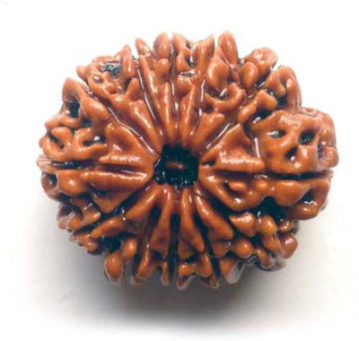 SHIVOHAM 12 MUKHI RUDRAKSHA PREMIUM QUALITY LAB CERTIFIED Wooden Yantra