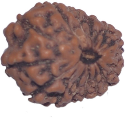 

Navkaar Creation 15 Mukhi Rudraksha Java 16.28mm Wooden Yantra
