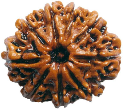 

ByCue Ceritfied 9 Mukhi Nepal Rudraksha 25.04mm Wooden Yantra(Pack of 1)