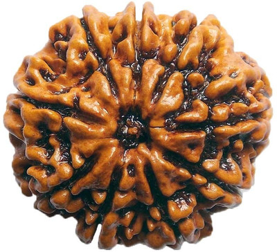 

ByCue Ceritfied 9 Mukhi Nepal Rudraksha 24.71mm Wooden Yantra(Pack of 1)
