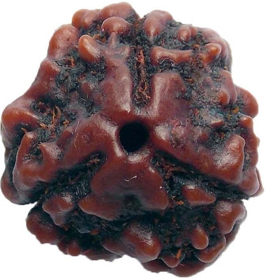 

ByCue Ceritfied 3 Mukhi Rudraksha Nepal 16-18mm Wooden Yantra(Pack of 1)