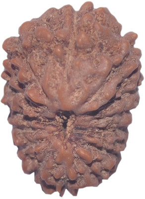 

Navkaar Creation 14 Mukhi Rudraksha Java 16.90mm Wooden Yantra