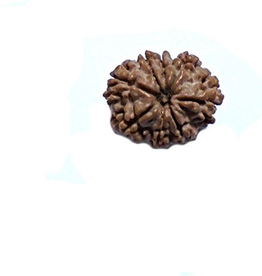 

ByCue Certified Natural 8 Mukhi Nepal Rudraksha 20mm Wooden Yantra(Pack of 1)