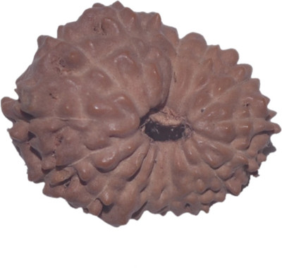 

Navkaar Creation 14 Mukhi Rudraksha Java 17.62mm Lab Certified Wooden Yantra