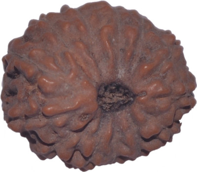 

Navkaar Creation 13 Mukhi Rudraksha Java 16.70mm Lab Certified Wooden Yantra