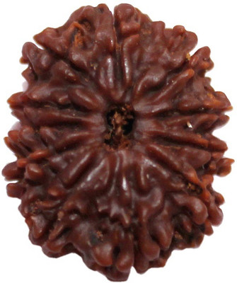 

ByCue Certified 10 Mukhi Nepal Rudraksha Wooden Yantra(Pack of 1)