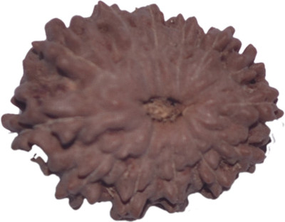 

Navkaar Creation 13 Mukhi Rudraksha Java 18.56mm Lab Certified Wooden Yantra