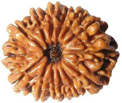 

SHIVOHAM 14 MUKHI RUDRAKSHA NEPALI CERTIFIED Wooden Yantra