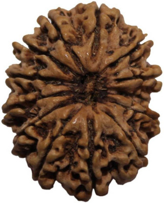 SHIVOHAM TWELVE MUKHI RUDRAKSHA LAB CERTIFIED Wooden Yantra