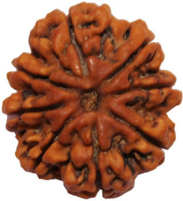 

SHIVOHAM 8 MUKHI NEPALI RUDRAKSHA LAB CERTIFIED Wooden Yantra