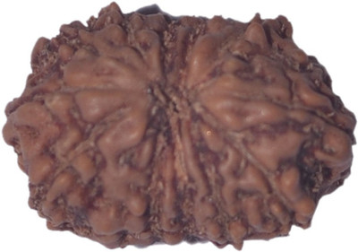 Navkaar Creation 14 Mukhi Rudraksha Java 15.50mm Wooden Yantra at flipkart