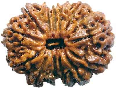 

ByCue Ceritfied 13 Mukhi Nepal Rudraksha 27.80mm Wooden Yantra(Pack of 1)