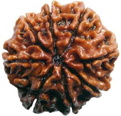 SHIVOHAM 8 MUKHI RUDRAKSHA LAB CERTIFIED NEPALI Wooden Yantra