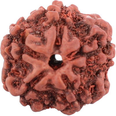 SHIVOHAM 5 Mukhi Rudraksha Silk Dori Locket