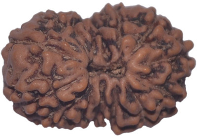 

Navkaar Creation 14 Mukhi Rudraksha Java 17.98mm Wooden Yantra