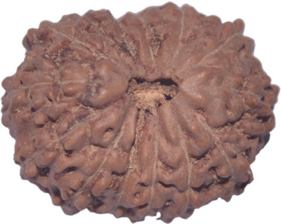 Navkaar Creation 14 Mukhi Rudraksha Java 19.06mm Wooden Yantra at flipkart