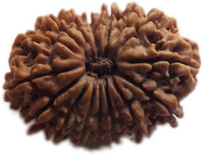 

SHIVOHAM 14 MUKHI RUDRAKSHA LAB CERTIFIED Wooden Yantra