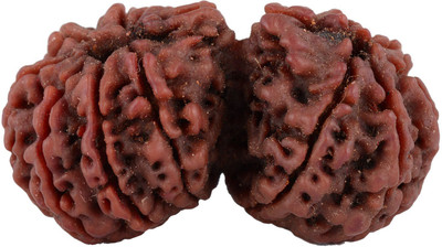 

SHIVOHAM Natural Gauri Shankar Rudraksha. Wooden Yantra
