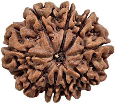 

SHIVOHAM 9 MUKHI NEPALI CERTIFIED RUDRAKSHA Wooden Yantra
