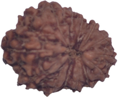 

Navkaar Creation 14 Mukhi Rudraksha Java 17.33mm Wooden Yantra